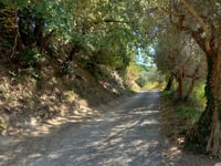 Bertinoro über Via Fontanaccia