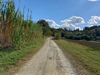 Bertinoro über Via Volpe