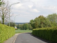 Berzbuir über Sankt-Hubert-Strasse