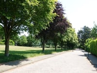 Beukenlaan par Bergweg