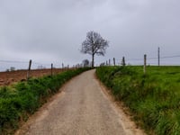 Beversberg von Gulpen