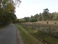 Bezoensberg über Schansstraat