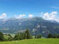 Bielen / Oltscherenalp von Balm