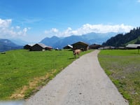 Bielen / Oltscherenalp von Balm