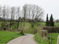 Bierstrauch von Holzbach