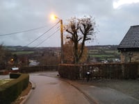 Biertasètsche von Malmedy