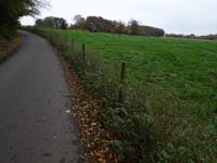 Biesenberg vanuit Humcoven