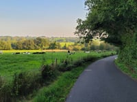 Biesenberg vanuit Humcoven