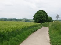 Biesweg von Nijswiller