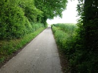 Biesweg von Nijswiller