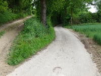Biesweg von Nijswiller
