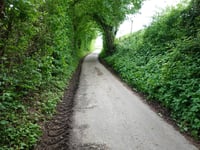 Biesweg von Nijswiller