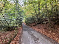 Bigmore Lane Nord von Dell's Wood