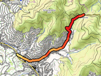 Bildeiche von Bühlertal