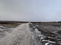 Bilsdale West Moor