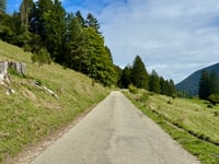 Binzberg von Moutier