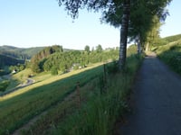 Birken-Höhenweg von Ohlenbach