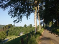 Birken-Höhenweg von Ohlenbach
