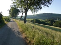 Birken-Höhenweg da Westfeld
