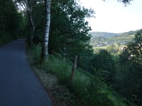 Birken-Höhenweg da Westfeld