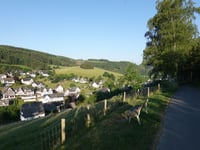 Birken-Höhenweg da Westfeld