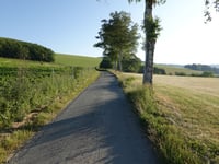Birken-Höhenweg da Westfeld
