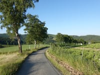 Birken-Höhenweg da Westfeld