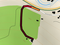 Birkenweg von Pertolzhofen