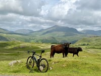 Birker Fell from Ulpha