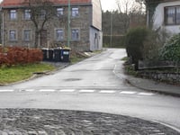 Birksiefenweg über Tiergarten
