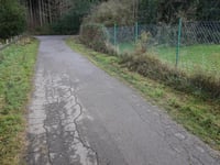 Birksiefenweg über Tiergarten