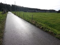 Birksiefenweg über Tiergarten