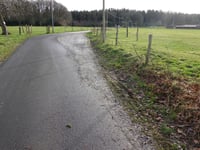 Birksiefenweg über Tiergarten