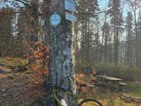 Bischofslaeger