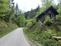 Bismarckturm / Hornisgrinde from Schönmünzach