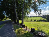 Bizory von Bastogne