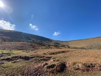 Black Darren desde Longtown