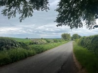 Blackheath Clump von Taynton
