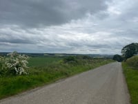 Blackheath Clump von Taynton