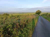 Blackhill da Auchenheath