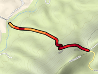 Blacksnake Road z Piney