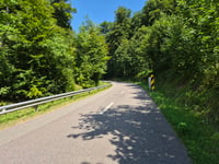 Blaschenterhecken da Lintgen