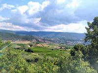 Blauvac von Saint-Esteve