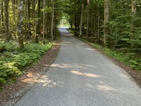 Bleckwand von Gschwendt