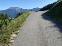 Bleckwand von Gschwendt