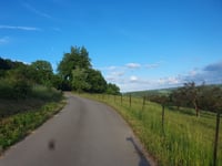 Bleesbierg