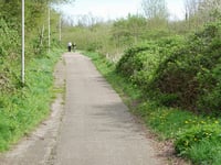 Blumenrath von Broicher Siedlung