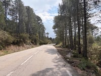 Bocca d'Illarata von Zonza