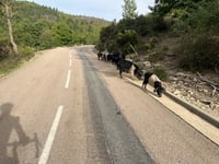 Bocca di a Scaledda / Col de Scalella über Ucciani