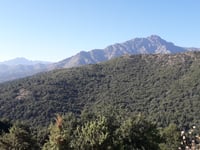 Bocca di Battaglia da Regino